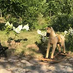 Siedlisko Zywe Kamienie Naguszewo