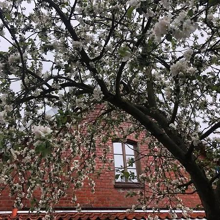 Pensión Siedlisko Zywe Kamienie