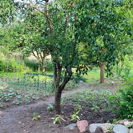 Siedlisko Zywe Kamienie בית הארחה Naguszewo