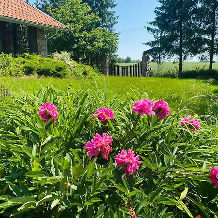 Siedlisko Zywe Kamienie Pensión *