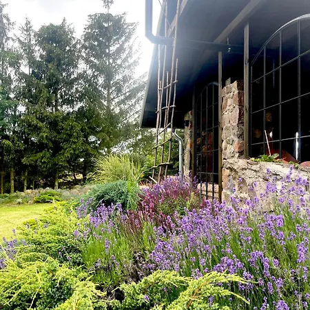 Siedlisko Zywe Kamienie