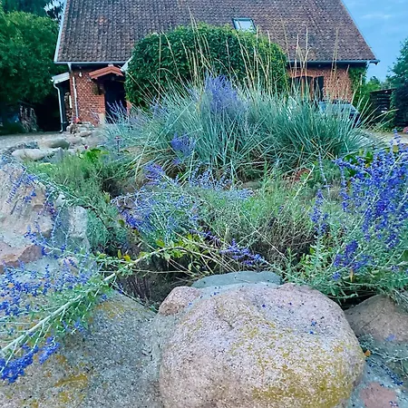 Pensión Siedlisko Zywe Kamienie